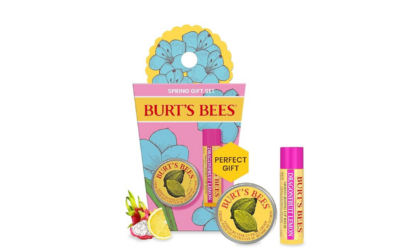 Burt’s Bees Gifts Ideas – Spring Surprise Set, Dragonfruit Lemon Lip Balm and Lemon Butter Cuticle Cream, Natural Origin Lip Moisturizer With Responsibly Sourced Beeswax, 2 Count